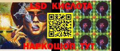apvp Краснодар