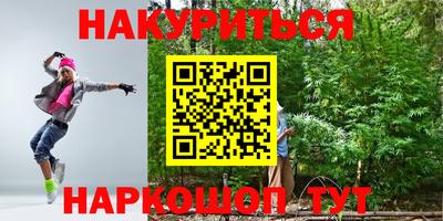 apvp Краснодар