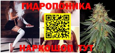 apvp Краснодар